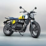 Royal Enfield bear 650 wildhoney