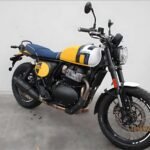 royal enfield interceptor bear 650 side