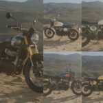 royal enfield bear 650 colours