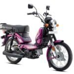 tvs xl100 heavy duty i touch start purple